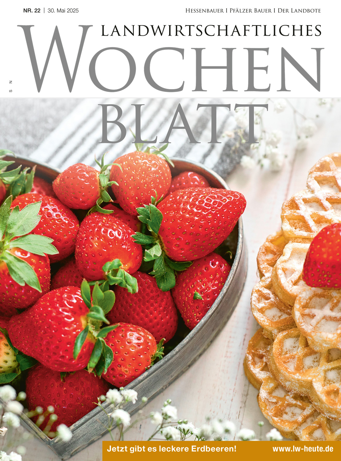 Ausgabe 22/2025