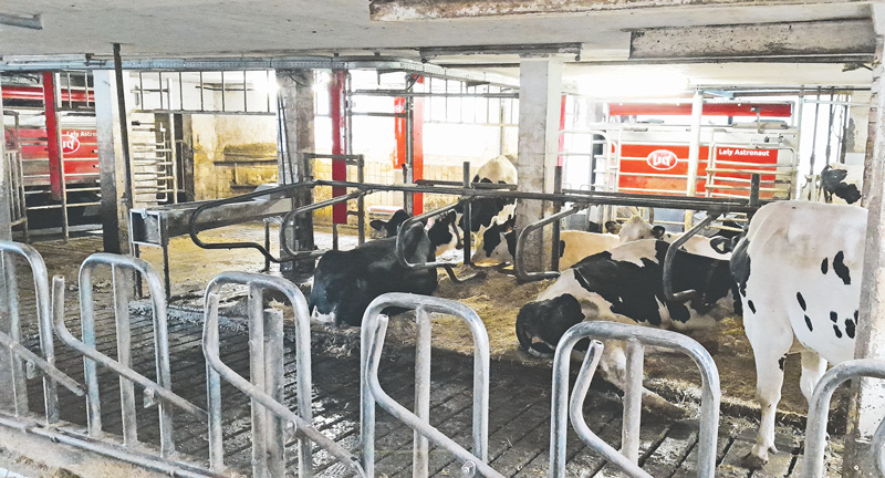 Mit dem AMS einen guten Start hinlegen