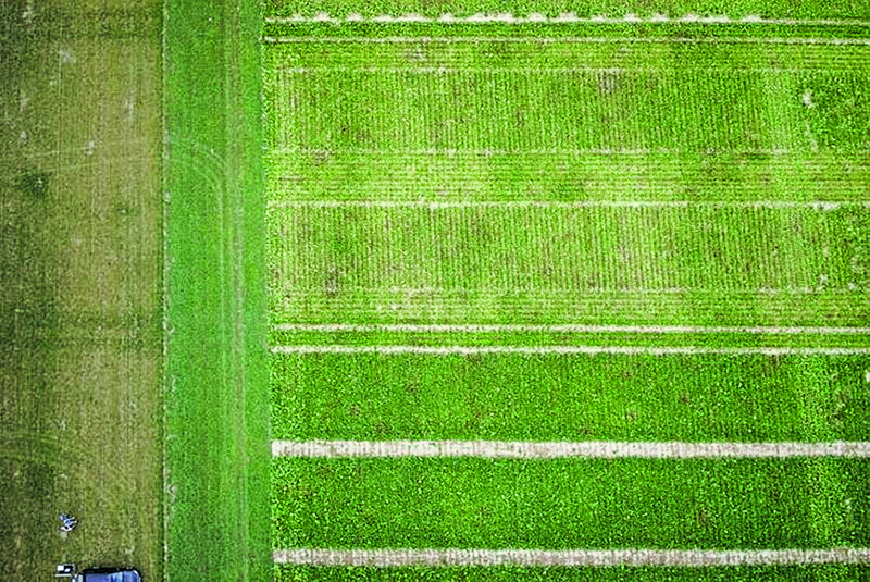Wo liegen die Grenzen von pfluglosen Systemen?