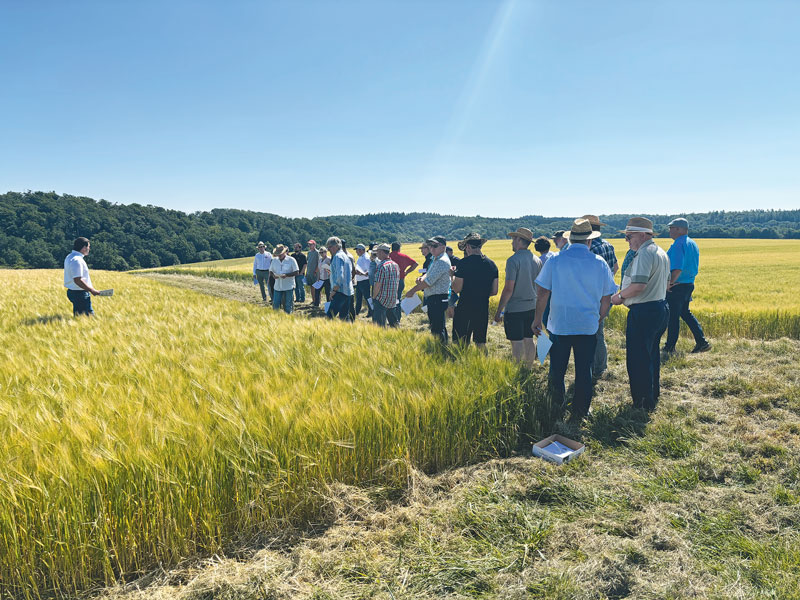 Landwirte besichtigen Braugerste in der Vulkaneifel