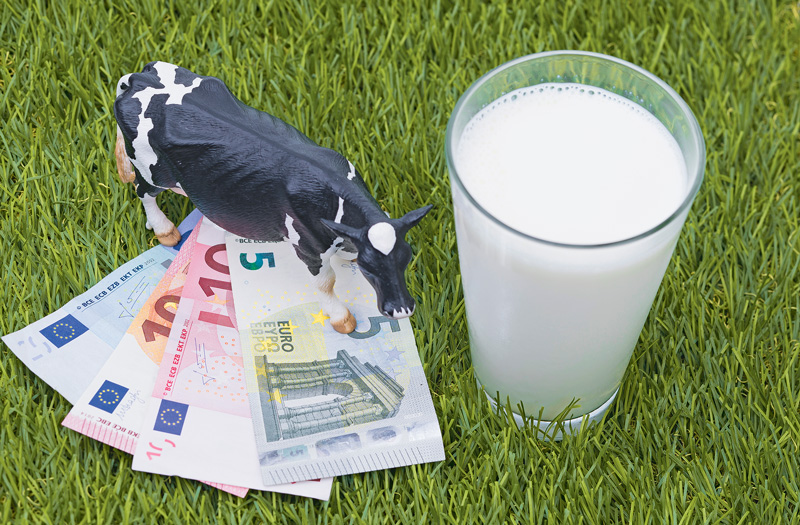2024 bringt wieder hohe Milchpreise