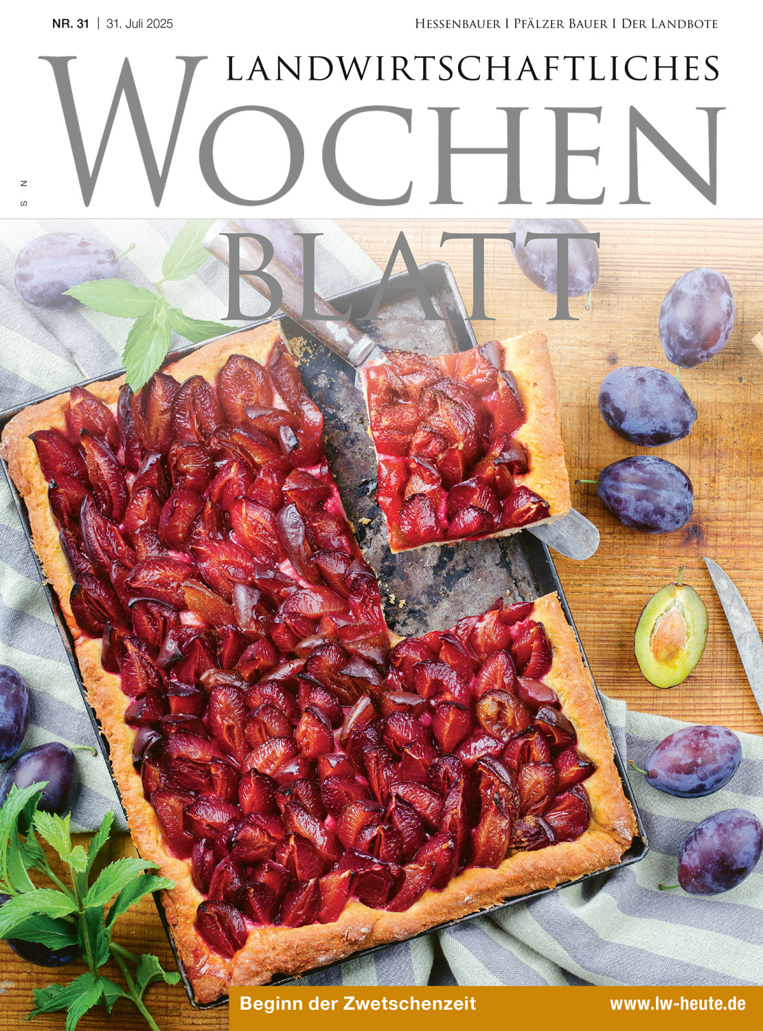 Ausgabe 31/2025