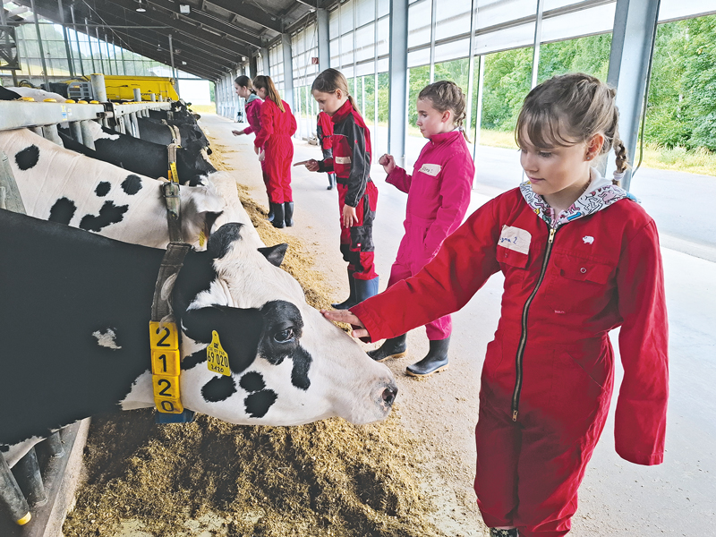 Abenteuer auf dem Bauernhof