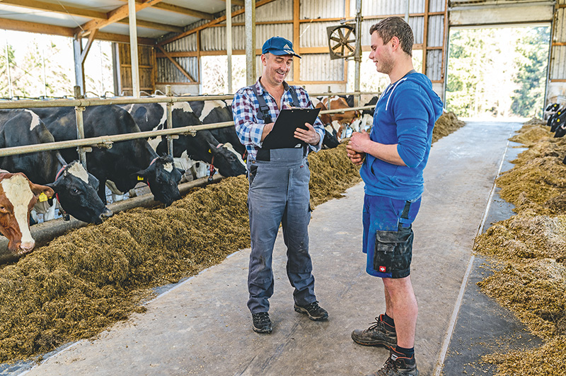 Die Arbeit erleichtern mit Standardarbeitsanweisungen
