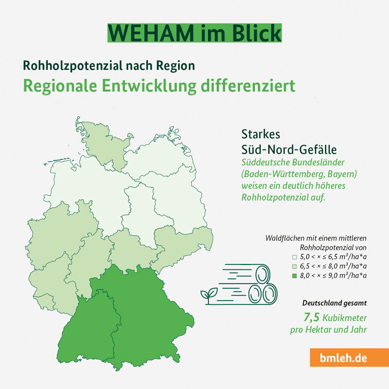 Heimisches Holz bleibt Pfeiler für nachhaltiges Wachstum