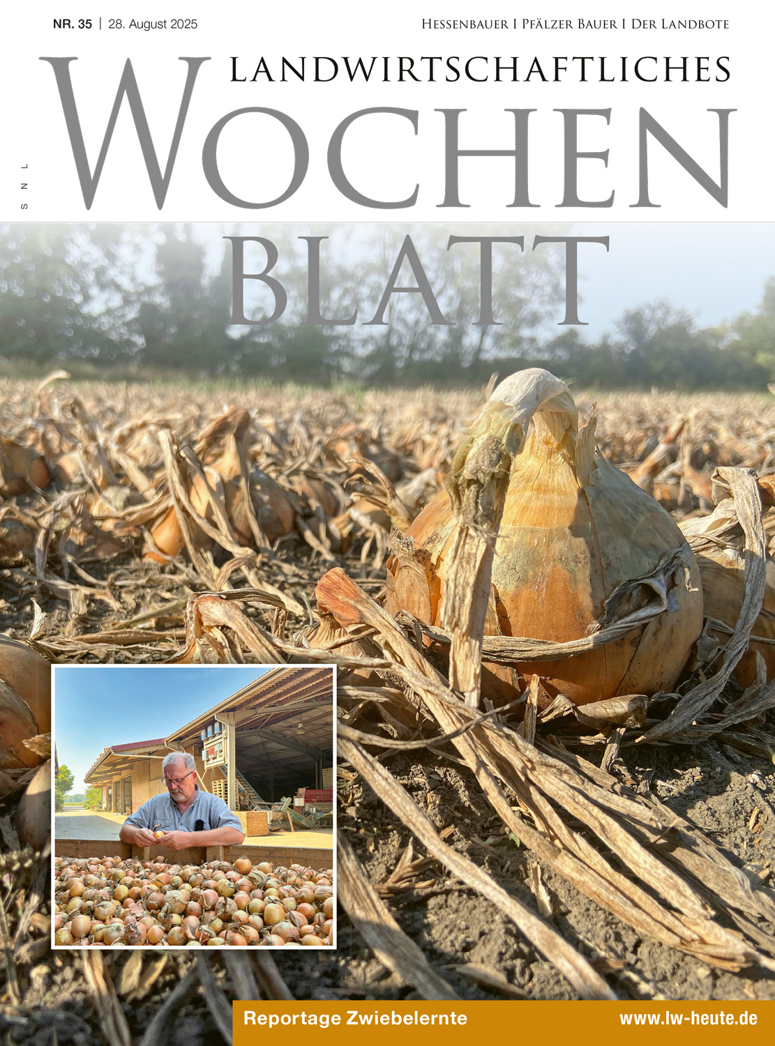 Ausgabe 35/2025