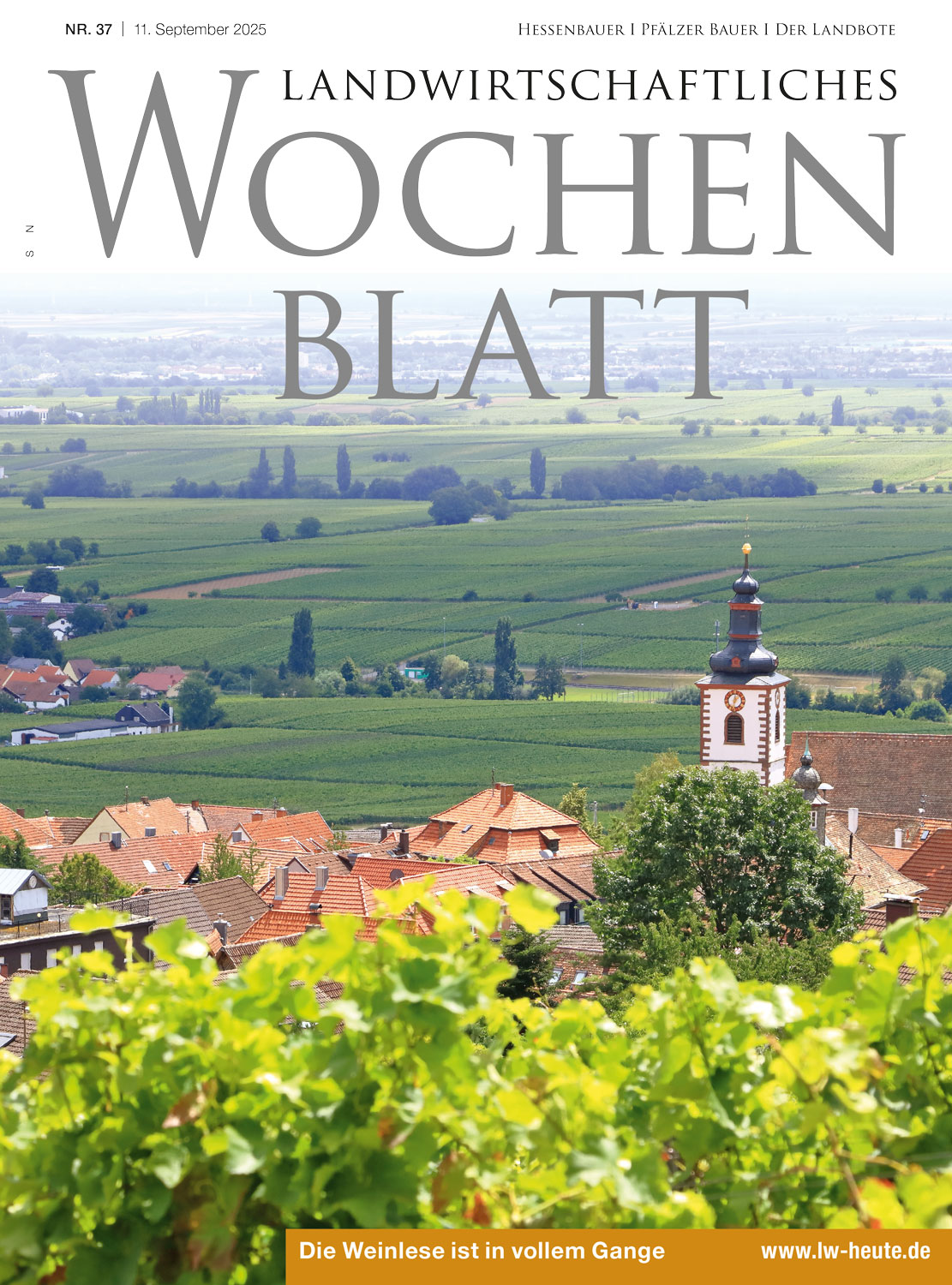 Ausgabe 37/2025