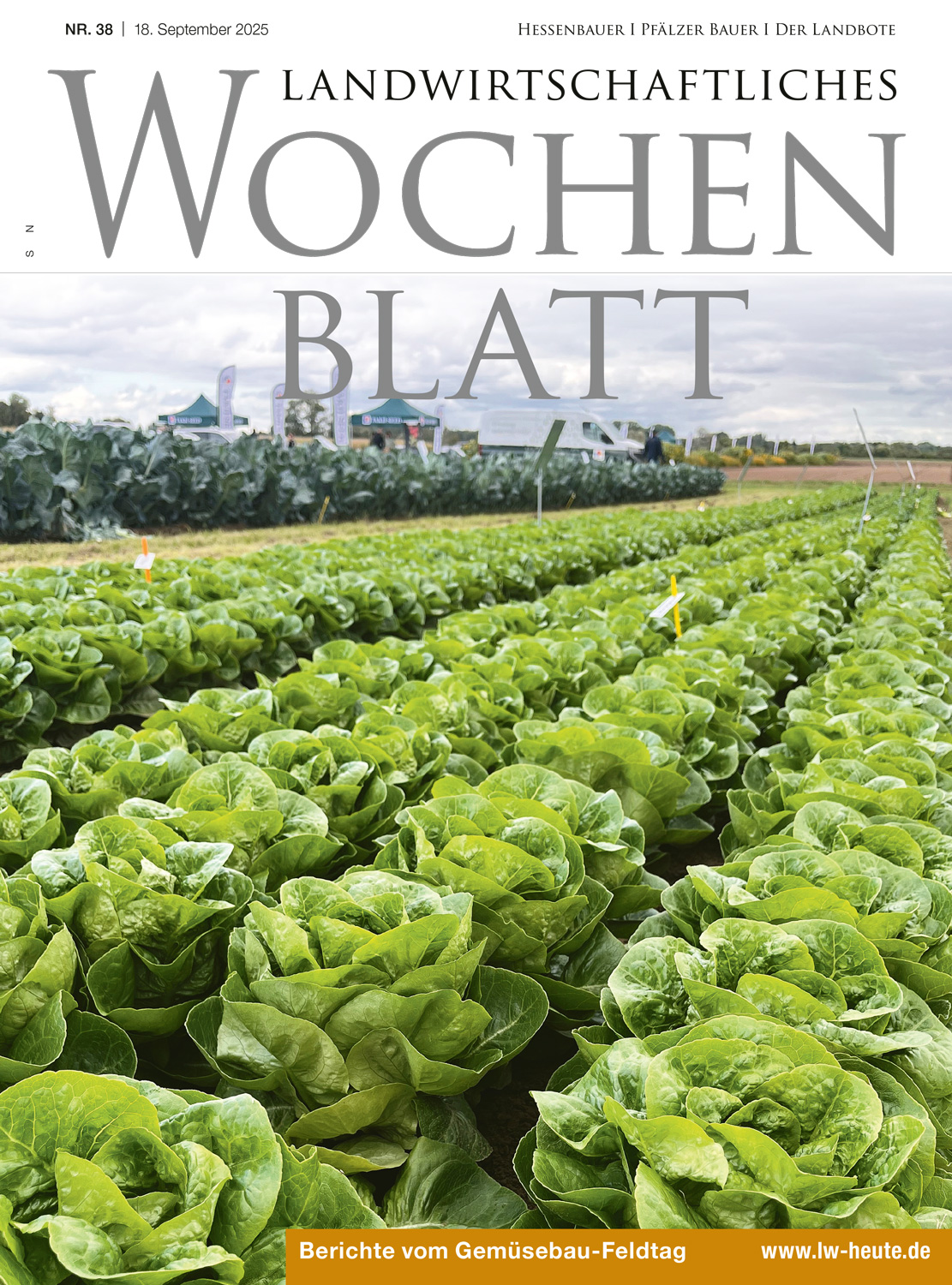 Ausgabe 38/2025