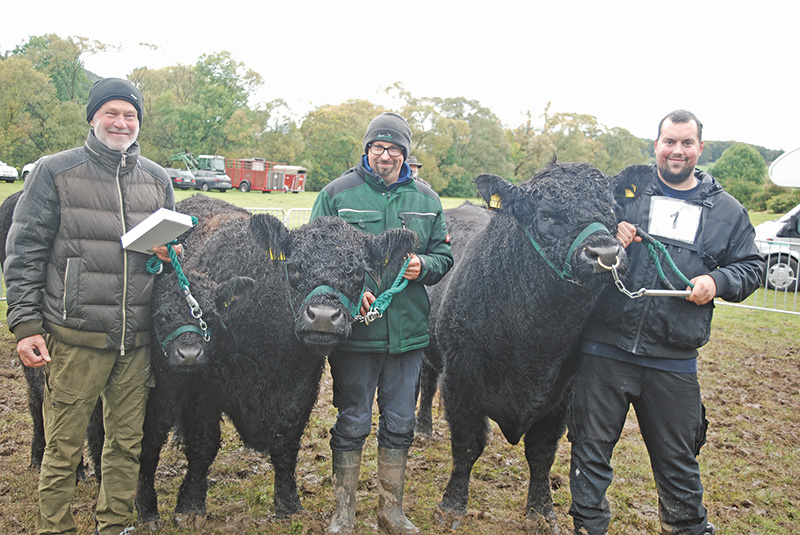 29. Robustrinderschau in Battenfeld
