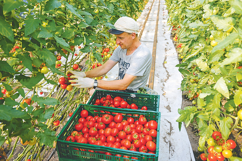 „Fehlende Berufsmäßigkeit“ in Novellierung klären