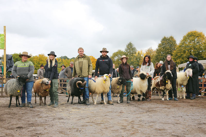 Rassevielfalt und Qualität begeistern Publikum in Mayen