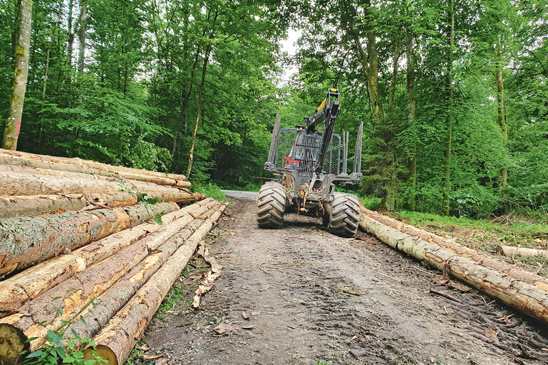 Doch keine Verschiebung der EUDR, aber Vereinfachungen
