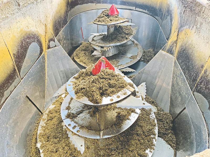 Gute Mischrationen für Milchkühe