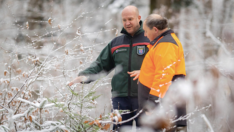 Umbau zu klimastabilen Wäldern weiter vorantreiben