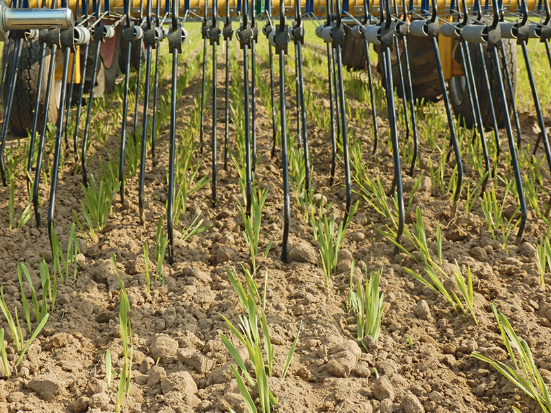 Standortangepasst und variabel striegeln