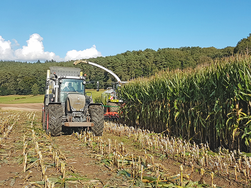 Energie- und stärkereich, aber wieder zu trocken!