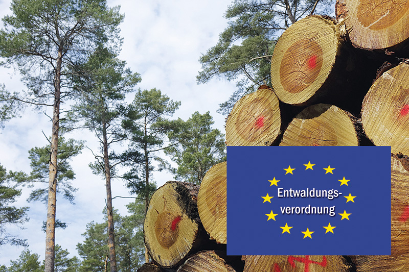 Umsetzung der EUDR wird um ein Jahr verschoben