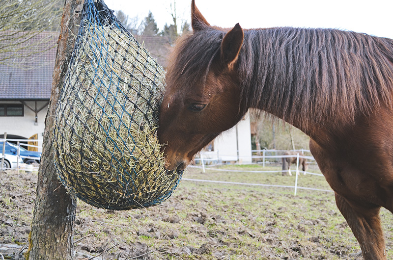 Heunetze sind besser als ihr Ruf