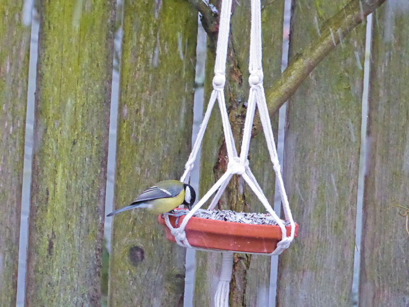 Kuschelnest und Futterfülle bieten