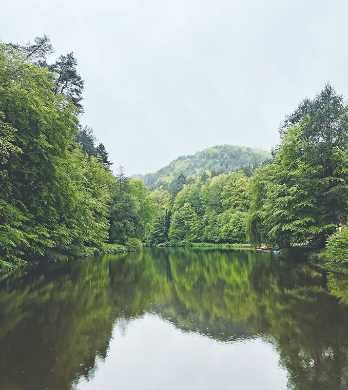 EU-Naturschutz und Gewässerunterhaltung