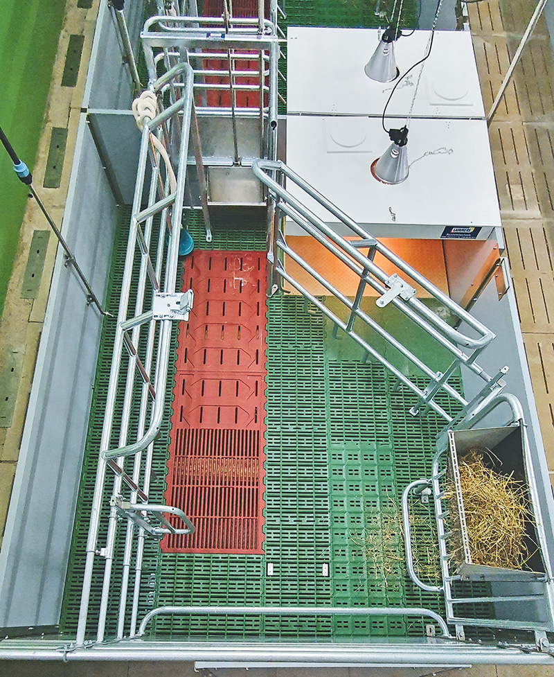 Zwei Abferkelsysteme im Vergleich