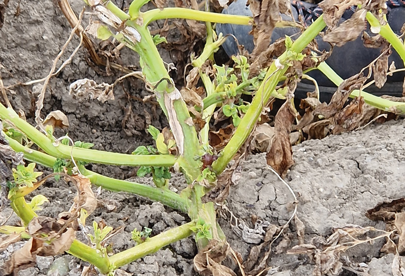 Digitale Lösungen erleichtern die Dokumentation