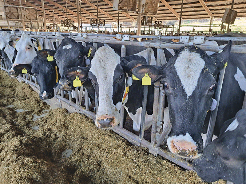 Landwirtschaft im digitalen Wandel