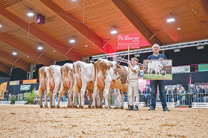 Qnetics-Vererber im Rampenlicht