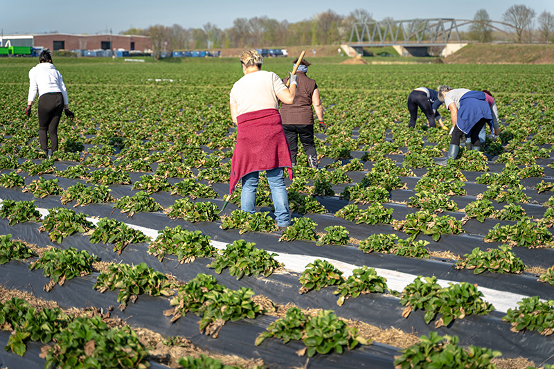 CDU will Ausnahmen vom Mindestlohn