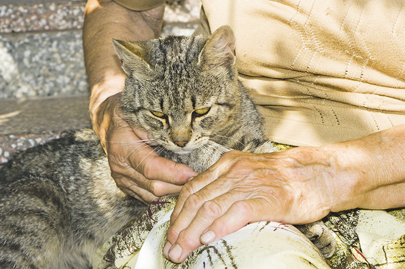 Ein Miteinander ohne Vorbehalte