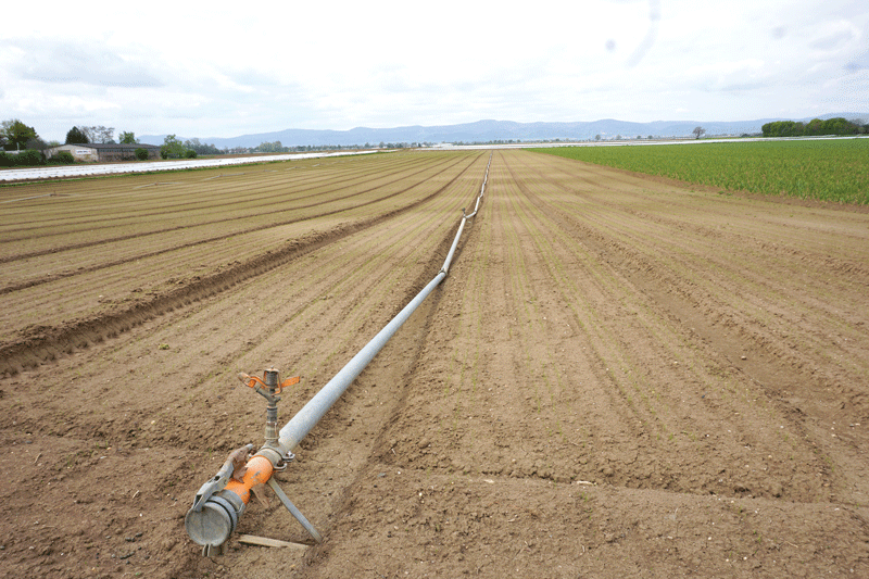 Langfristig wird mehr Wasser benötigt