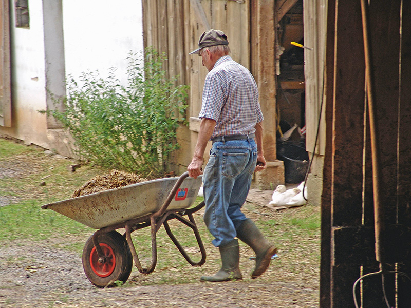 Bandscheibenvorfall vorbeugen und behandeln