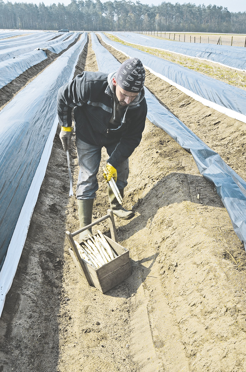 SPD: Werden uns das genau ansehen