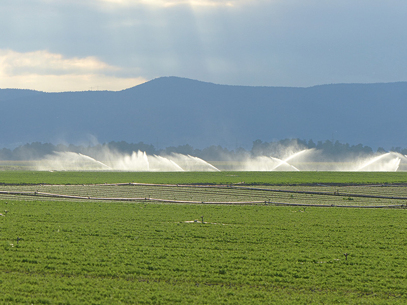 Mehr Wasser für die Landwirtschaft 