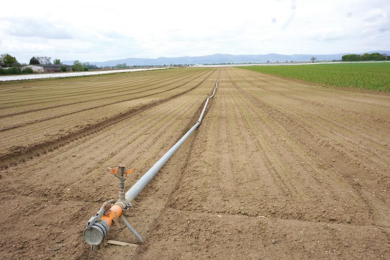Langfristig wird mehr Wasser benötigt
