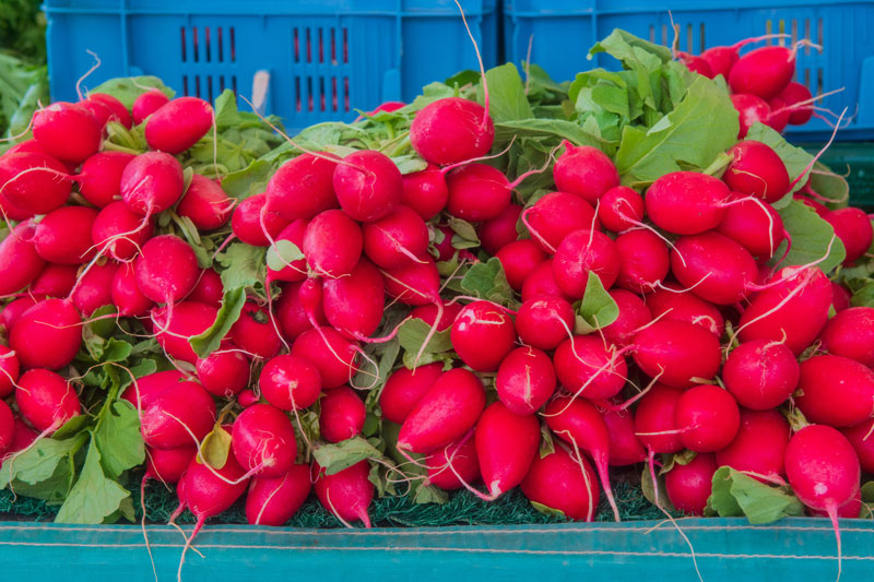 Marktkommentar Radies