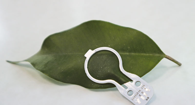 Ein Clip erkennt den Trockenstress der Pflanze übers Blatt