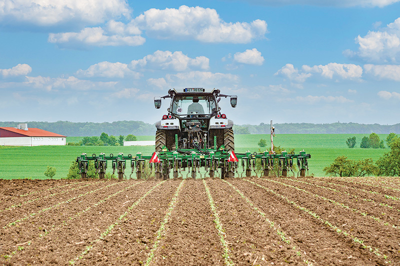 Hacksysteme sind ökonventionell