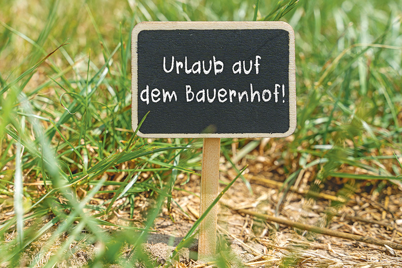 Einkommensdiversifizierung ist zentral für die Landwirtschaft