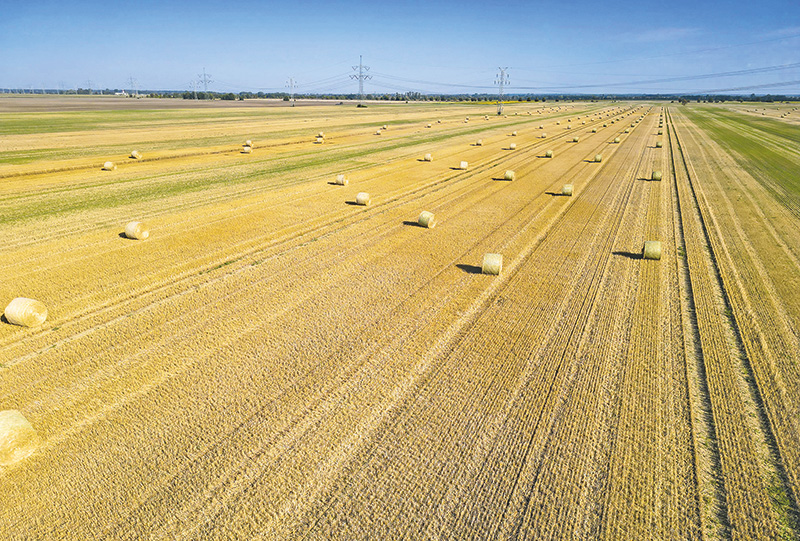 Finanzierung der Landwirtschaft wird schwieriger