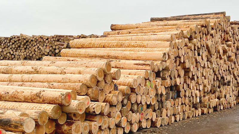 Neue RVWV, neues Maß für die Holzvermarktung