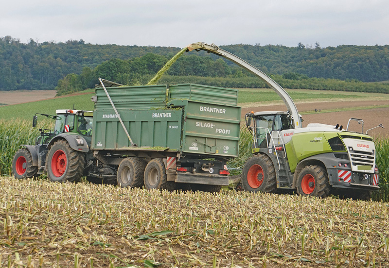Ungenutztes Potenzial beim Rohprotein- und Energiegehalt