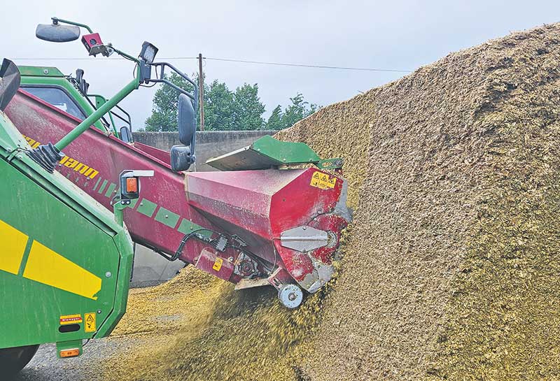 TS-Schwankungen am Siloanschnitt hoch