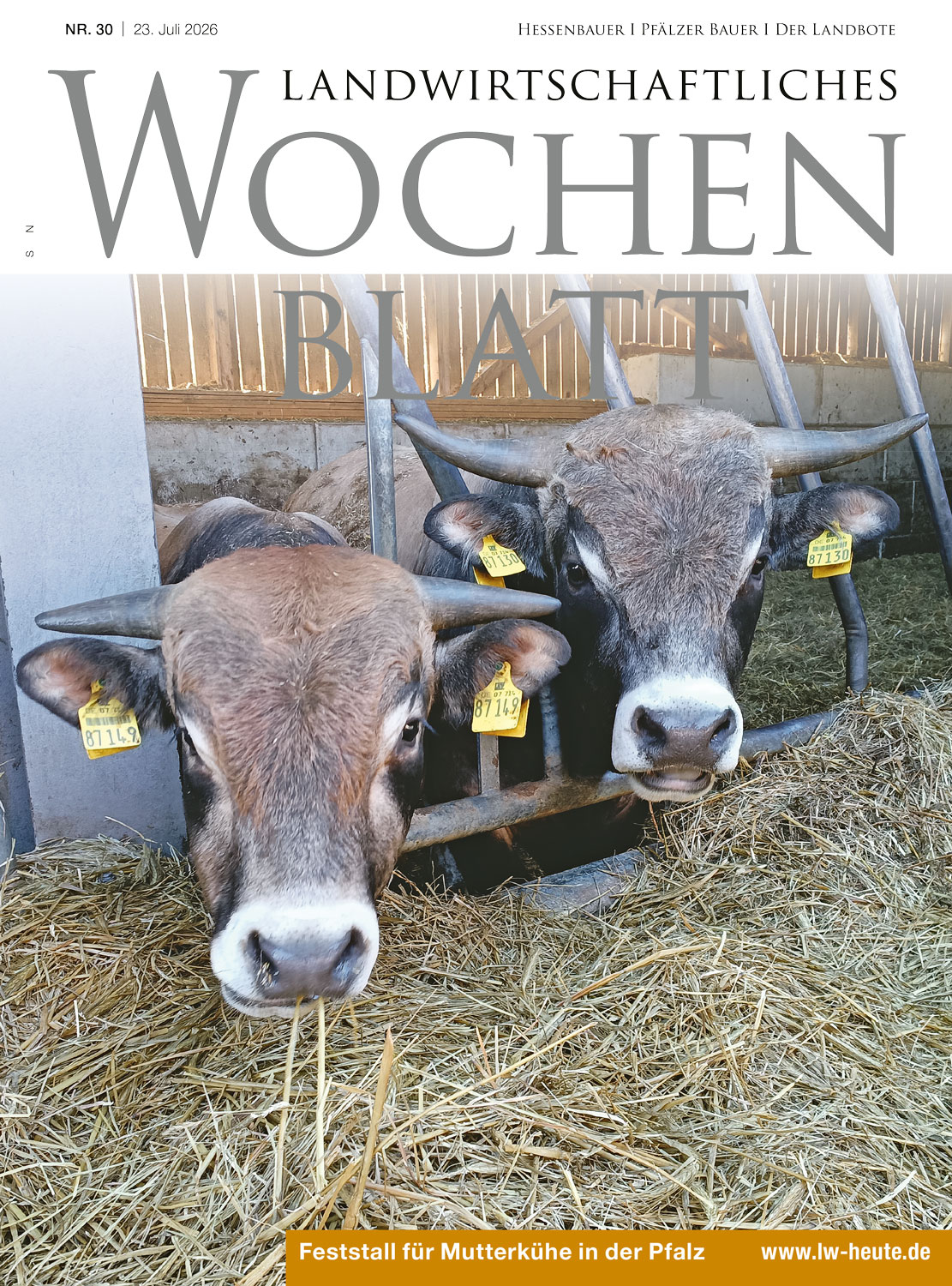 Ausgabe 30/2026