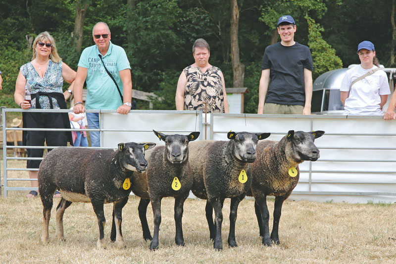 Schaf-Show – sieben Betriebe und sieben Rassen