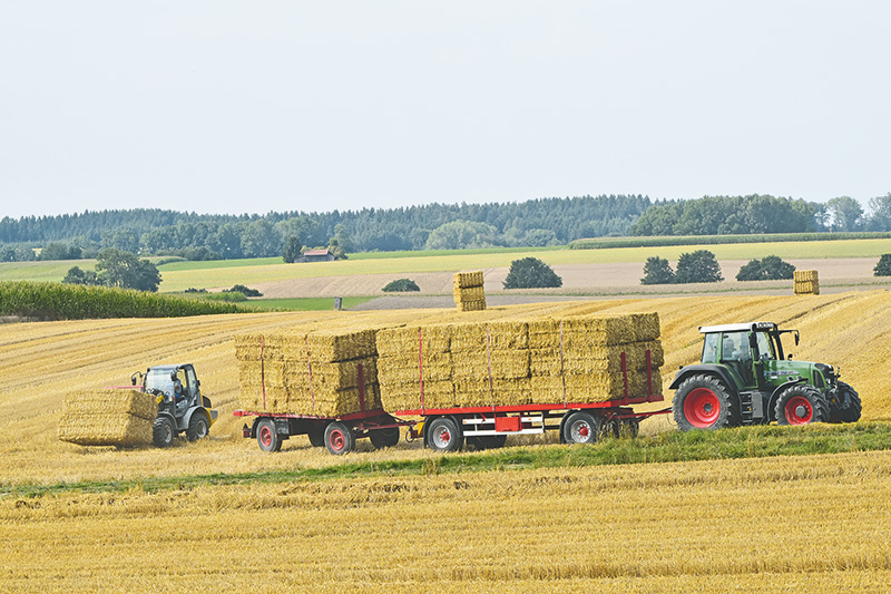 Was ist Stroh für meinen Betrieb wert?