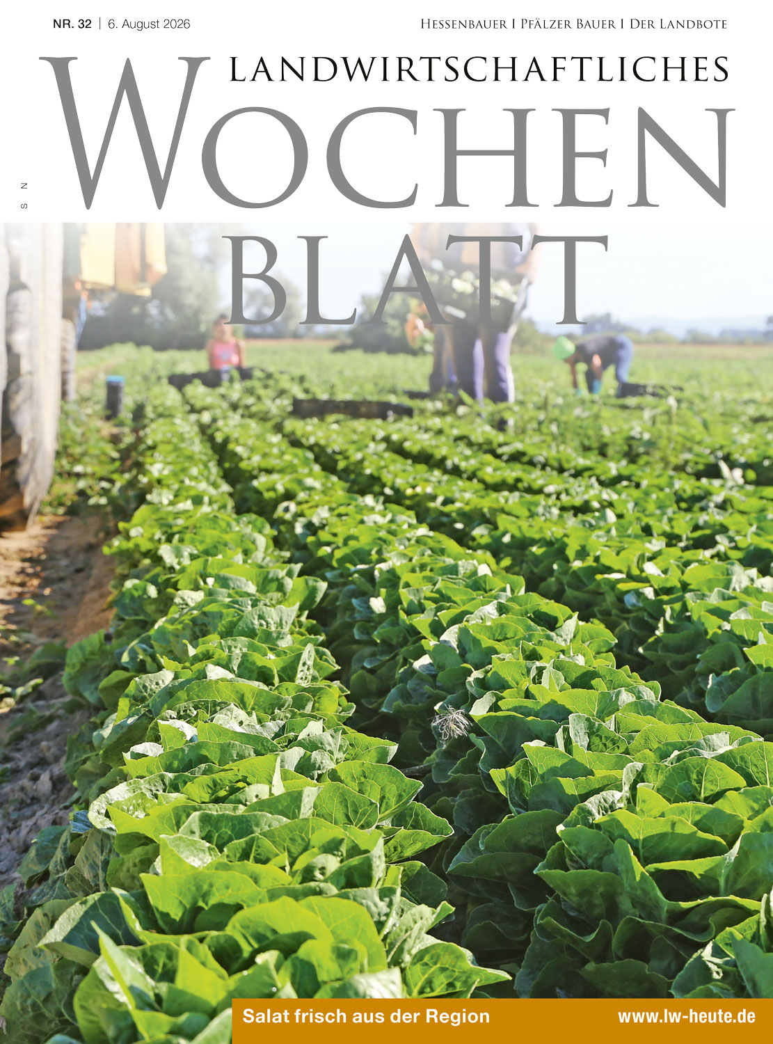 Ausgabe 32/2026