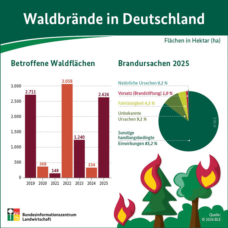 Europa erlebt ein Jahr der Waldbrände