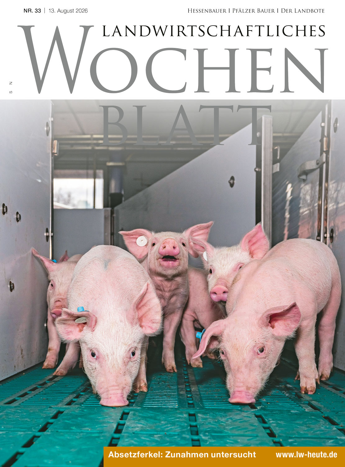 Ausgabe 33/2026