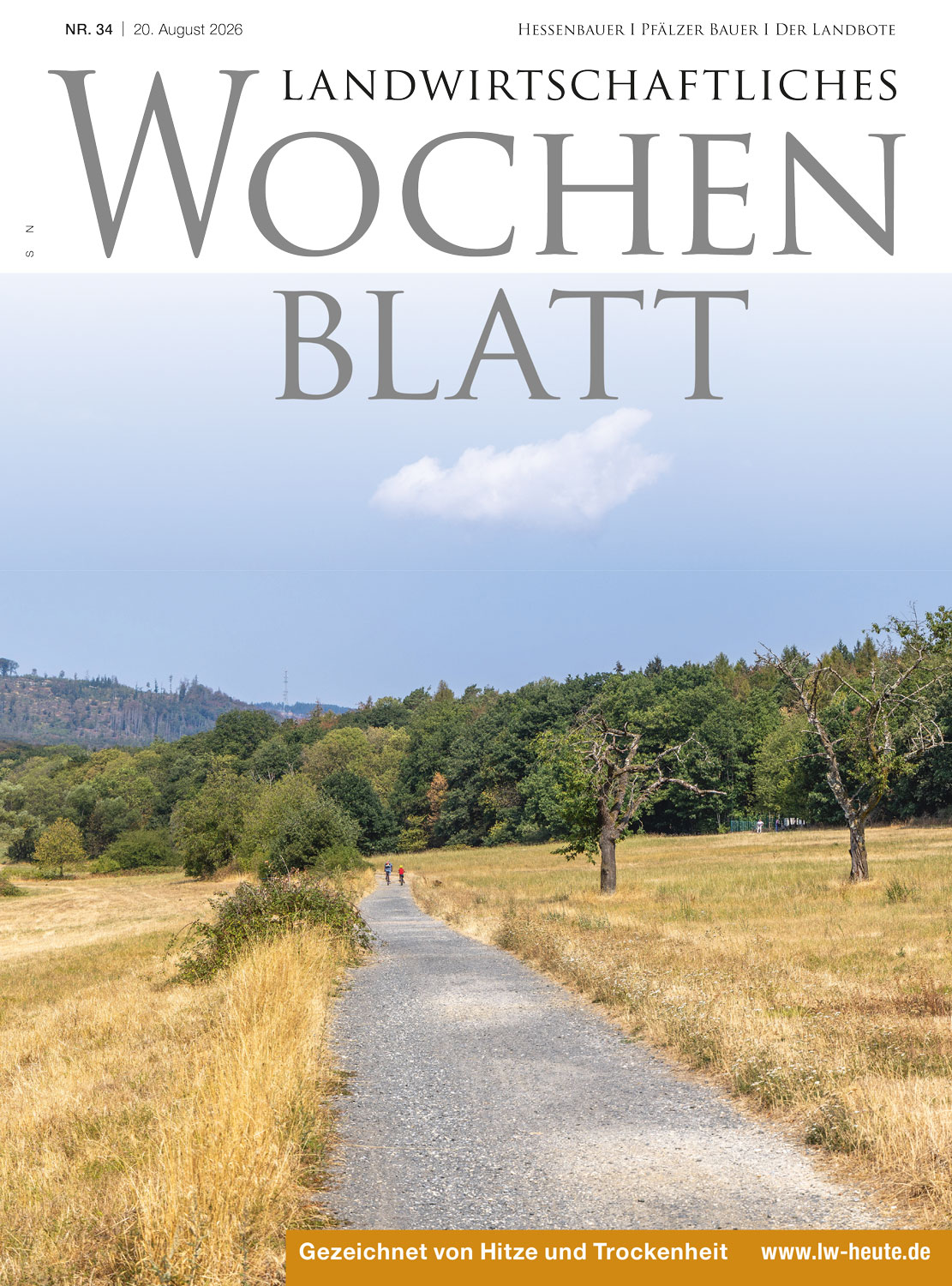 Ausgabe 34/2026
